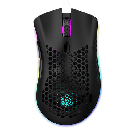 Rechargeable Wireless Gaming Mouse with LED Light
